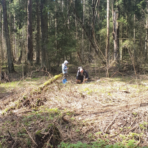 Photo #13872257