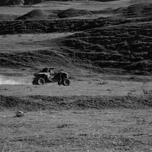 Photo #13872313