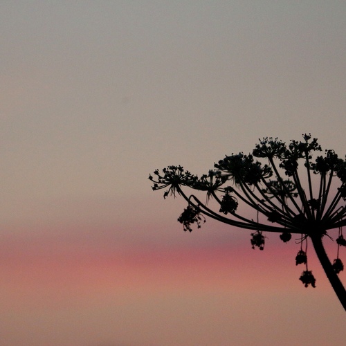 Photo #13872481