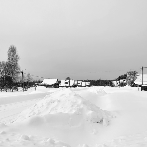 Photo #13872490