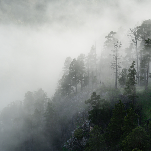 Photo #13872586