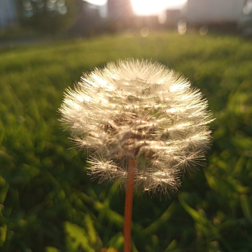 Photo #13872601