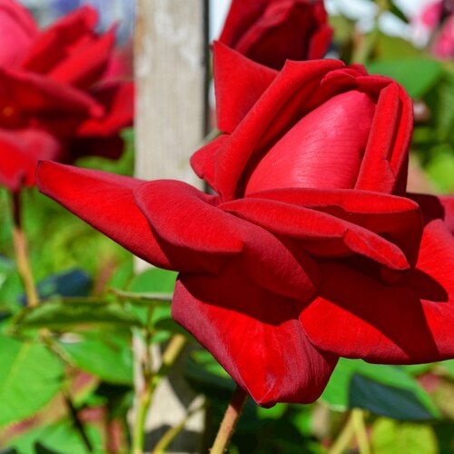 Photo #13872683