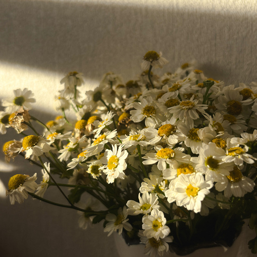 Photo #13872710
