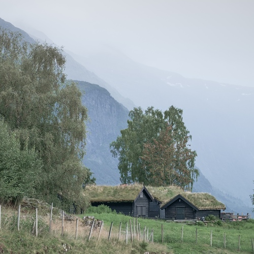Photo #13873000