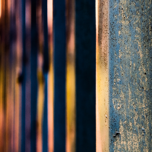 Photo #13873107