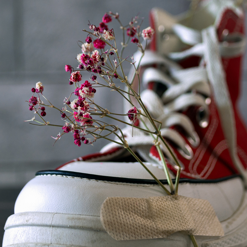 Photo #13873149