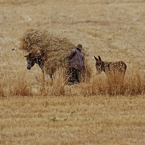 Photo #13873179
