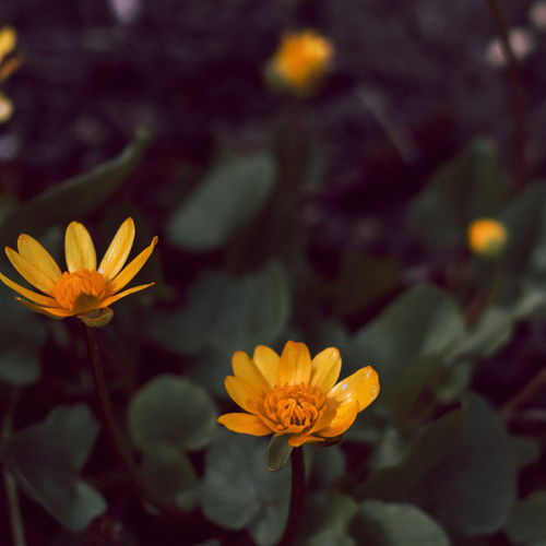 Photo #13873191