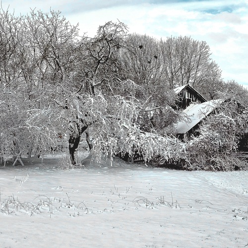 Photo #13873270