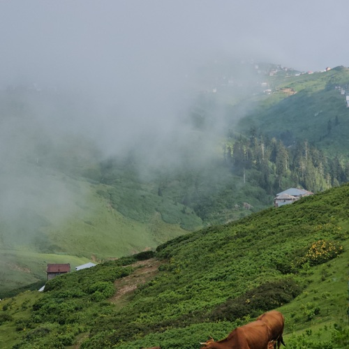 Photo #13873313