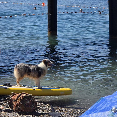 Photo #13873334