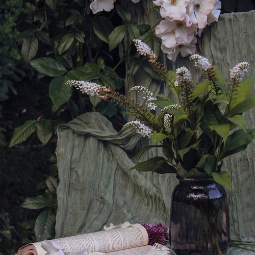 Photo #13873365