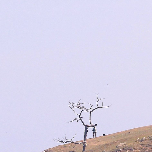 Photo #13873434