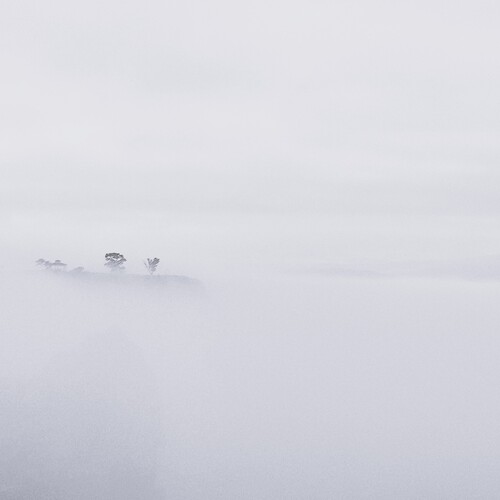 Photo #13873436
