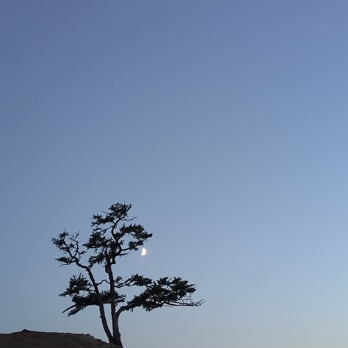 Photo #13873448