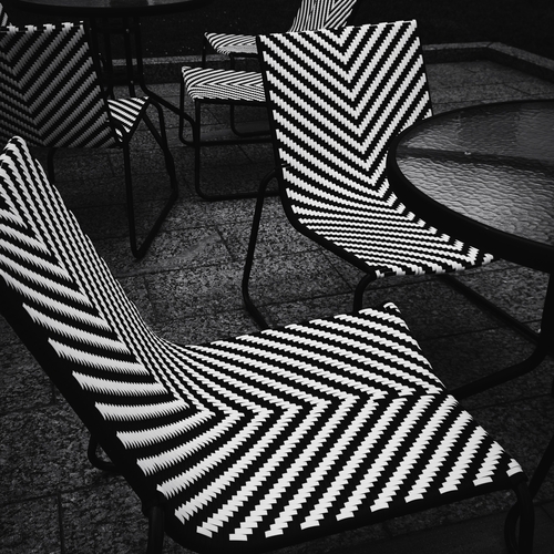 Photo #13873552
