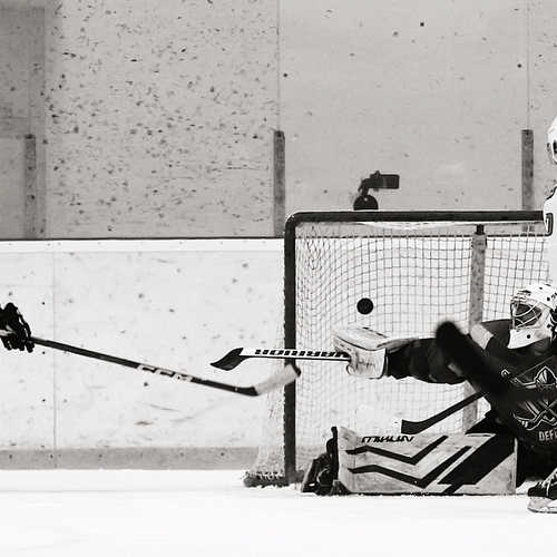 Photo #13873596