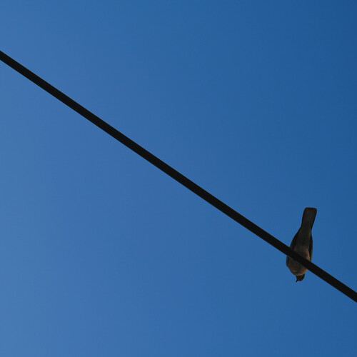Photo #13873621