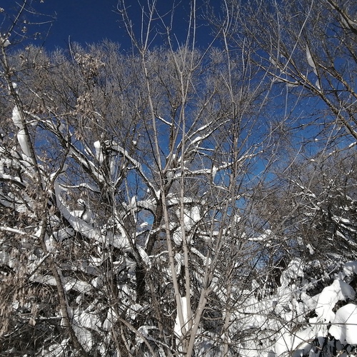 Photo #13873627