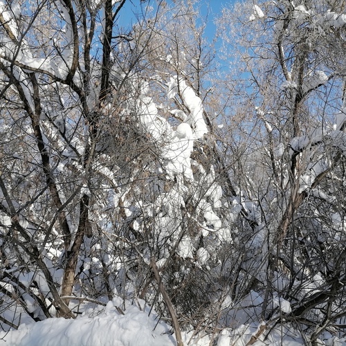 Photo #13873628