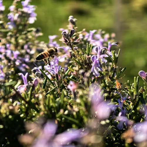 Photo #13873651