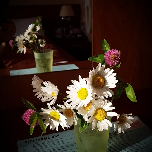 Photo #13873727