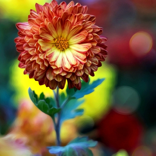 Photo #13873852