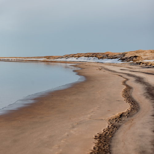 Photo #13873974