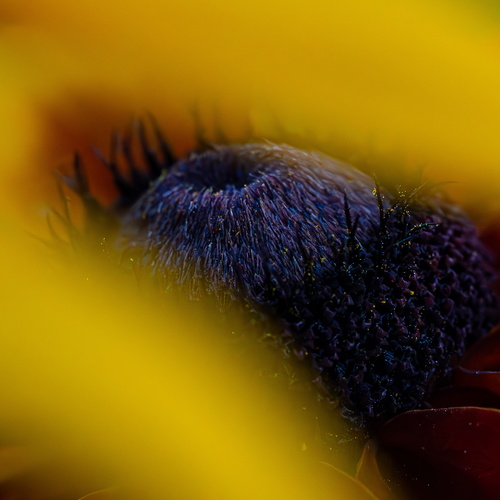 Photo #13874007