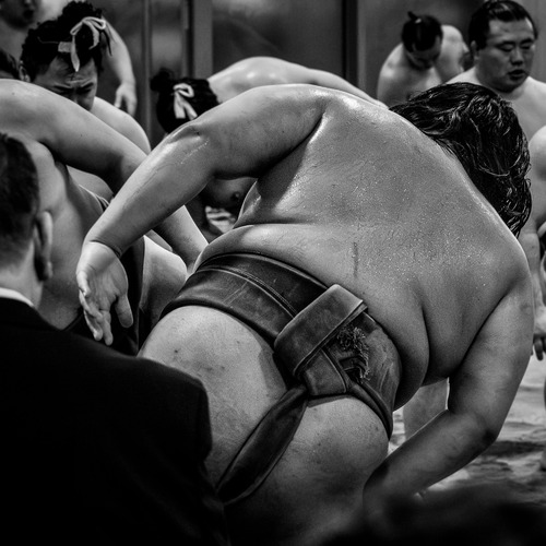 Photo #13874021