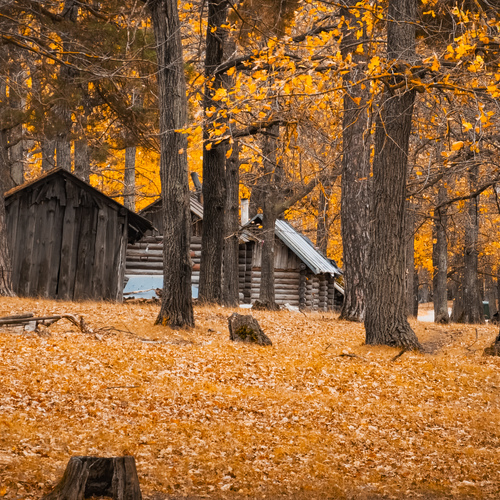 Photo #13874092