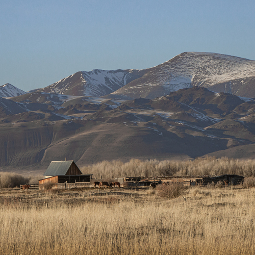 Photo #13874097