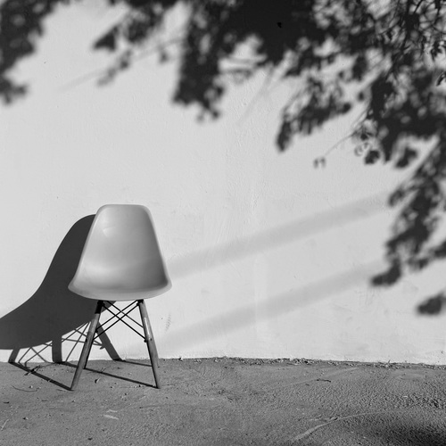 Photo #13874279