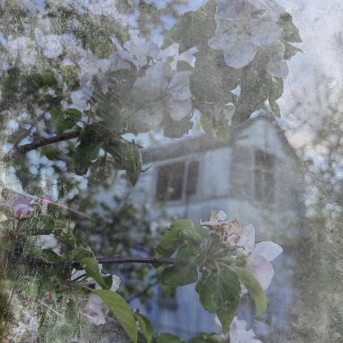 Photo #13874290