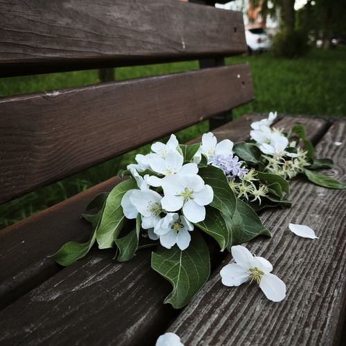 Photo #13874327