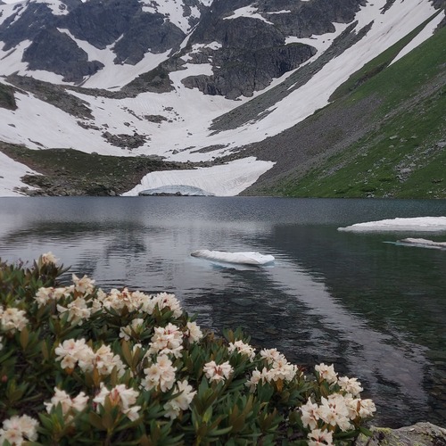 Photo #13874358