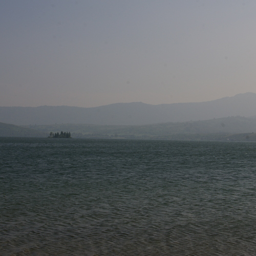 Photo #13874435