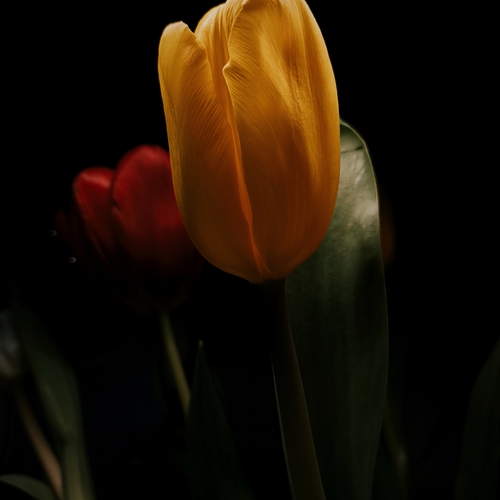 Photo #13874437