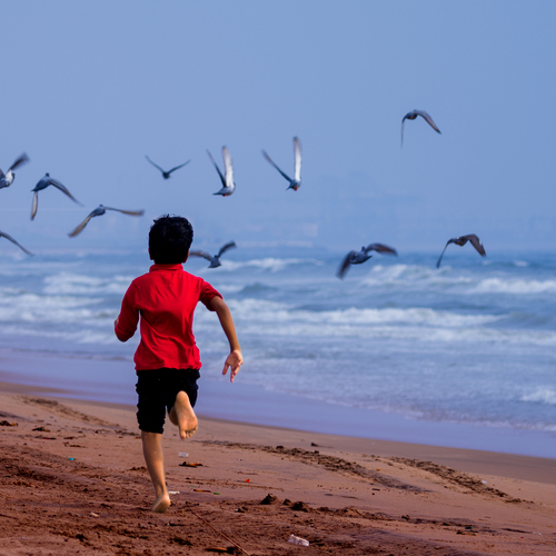Photo #13874450