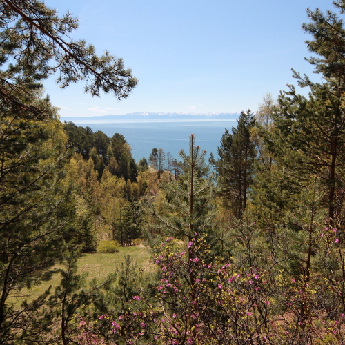 Photo #13874479