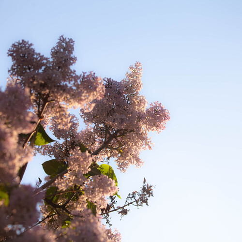 Photo #13874518