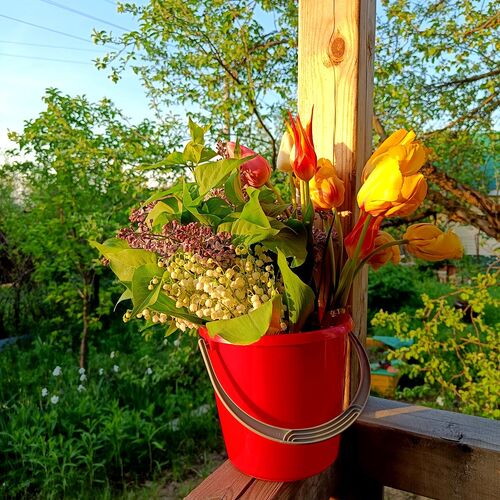 Photo #13874553