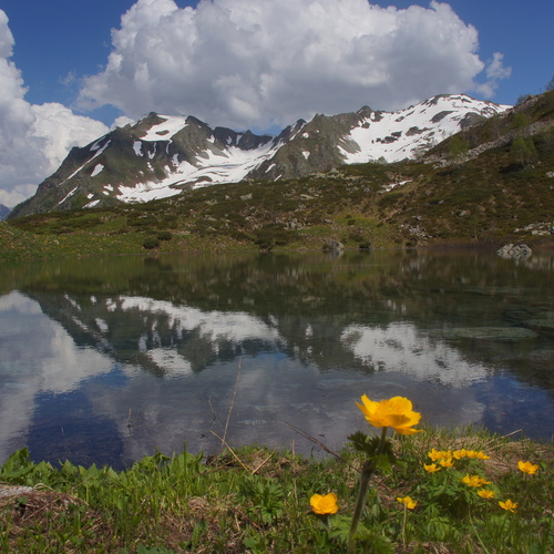 Photo #13874626
