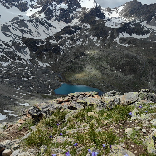 Photo #13874677