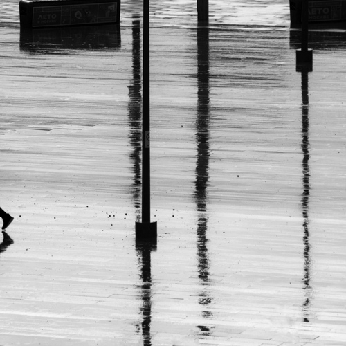 Photo #13874687