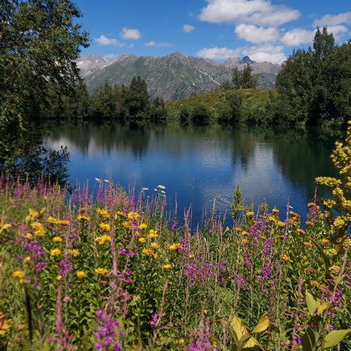 Photo #13874689