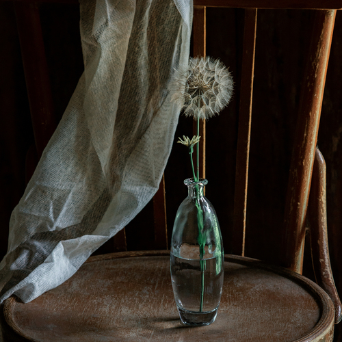 Photo #13874694