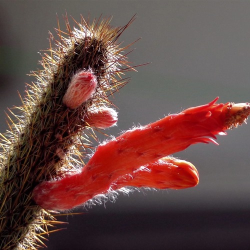 Photo #13874725