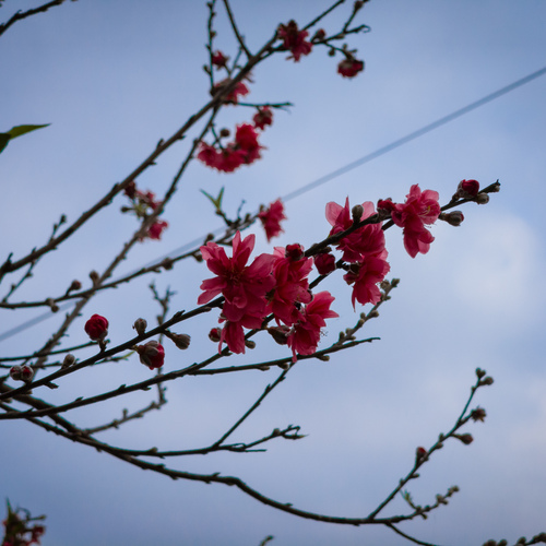 Photo #13874738
